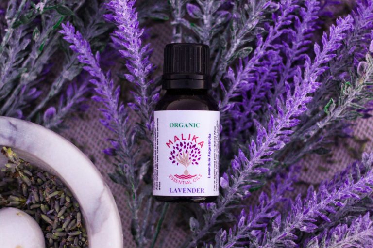 lavender