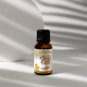 GINGER